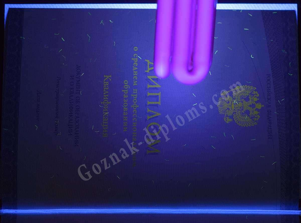 Диплом техникума или колледжа 2014-2026